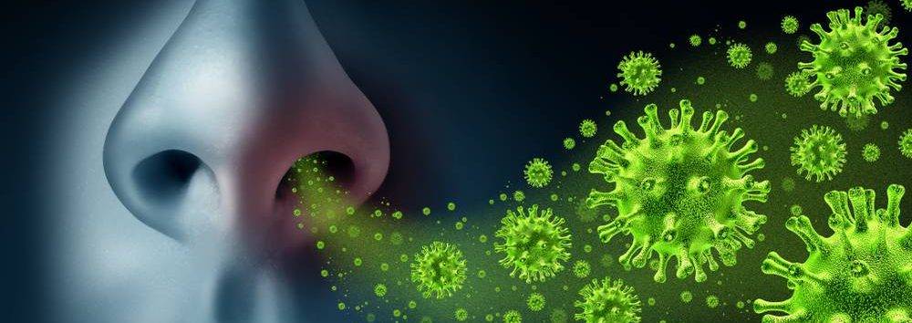 le virus du rhume pénètre dans le nez