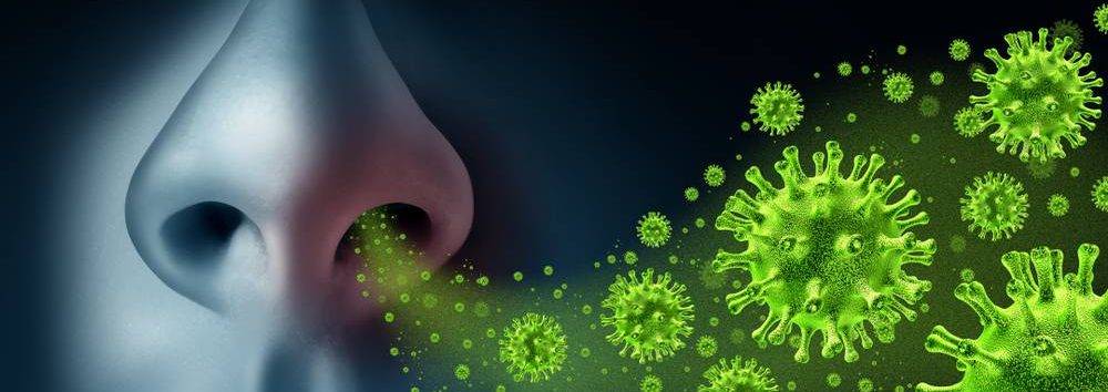 verkoudheidsvirus dringt de neus binnen